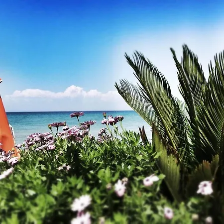 Al Mare טסיליבי