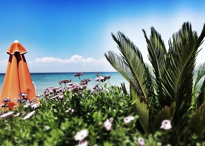 Al Mare Tsilivi (Zakynthos)